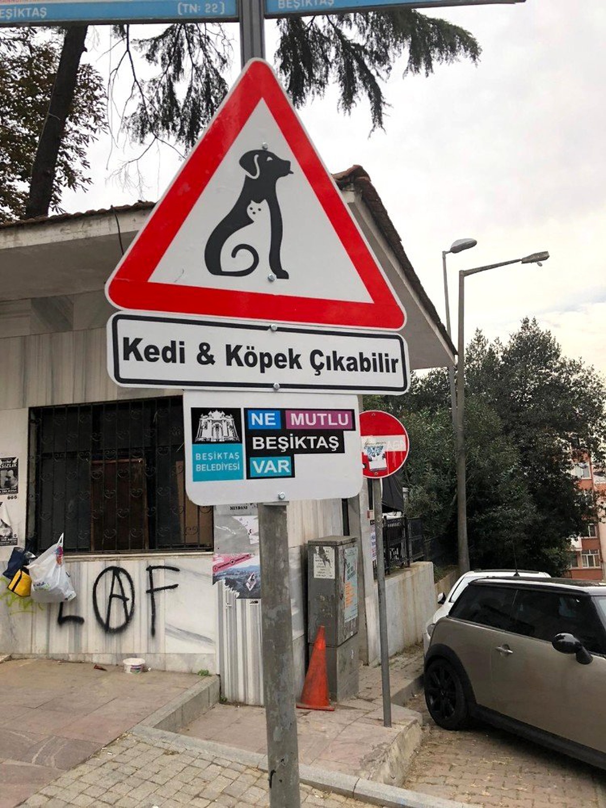 Beşiktaş\'ın sokaklarında \'Kedi ve Köpek Çıkabilir\' farkındalığı