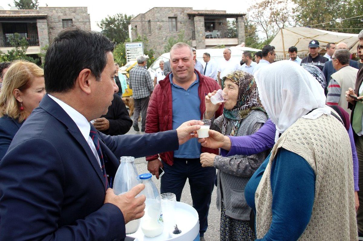 Bodrum\'da süt yok satıyor