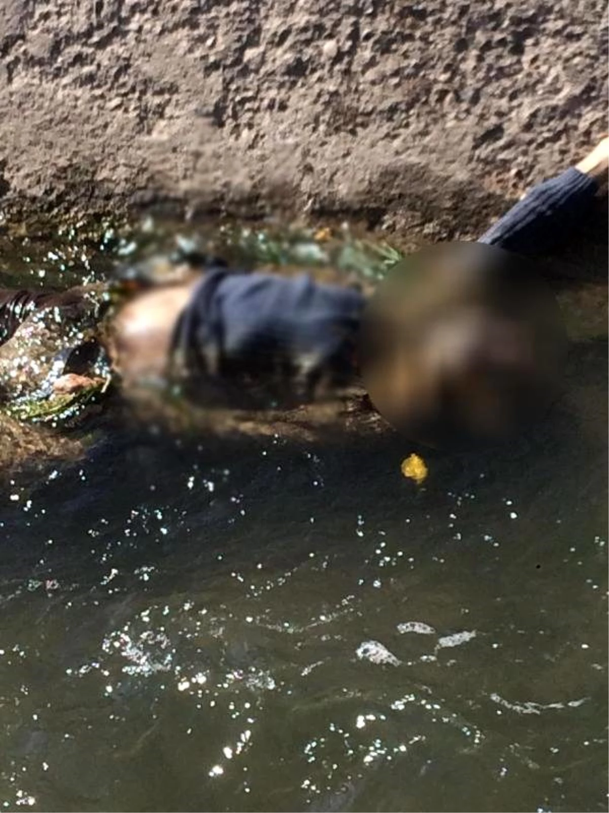Kırşehir\'de gölette erkek cesedi bulundu