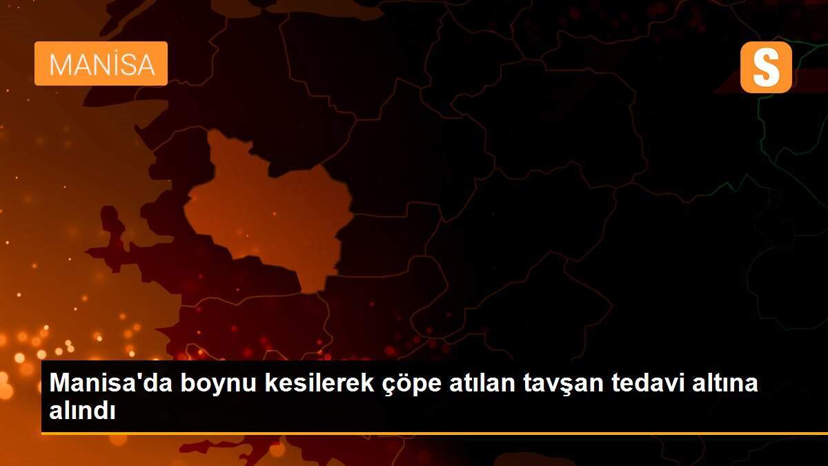 Manisa\'da boynu kesilerek çöpe atılan tavşan tedavi altına alındı
