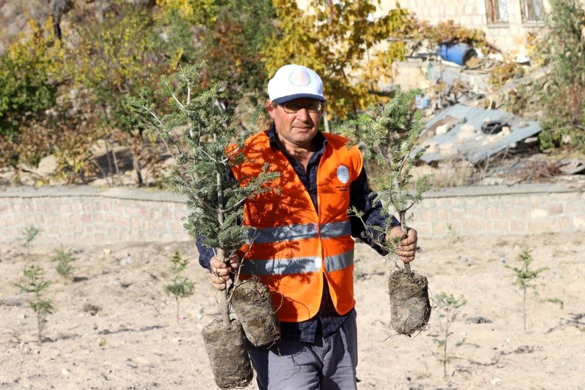 Nevşehir\'de bin fidan daha dikimi yapıldı