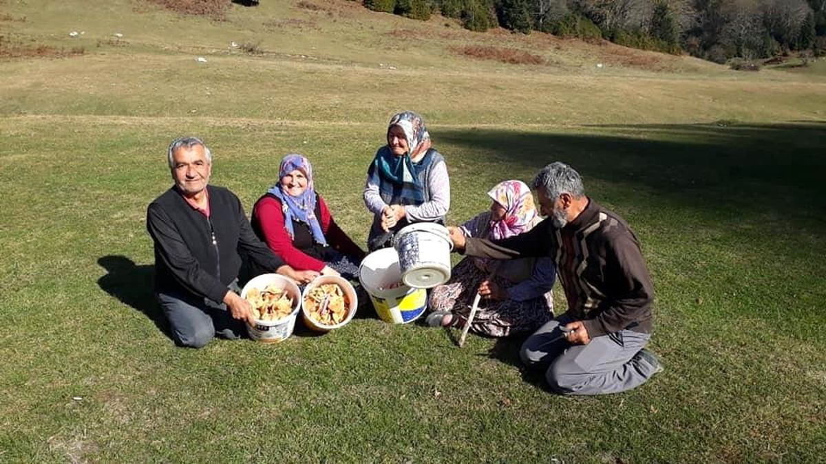 Sakarya\'da güzel havayı değerlendiren vatandaşlar yaylada mantar topladı