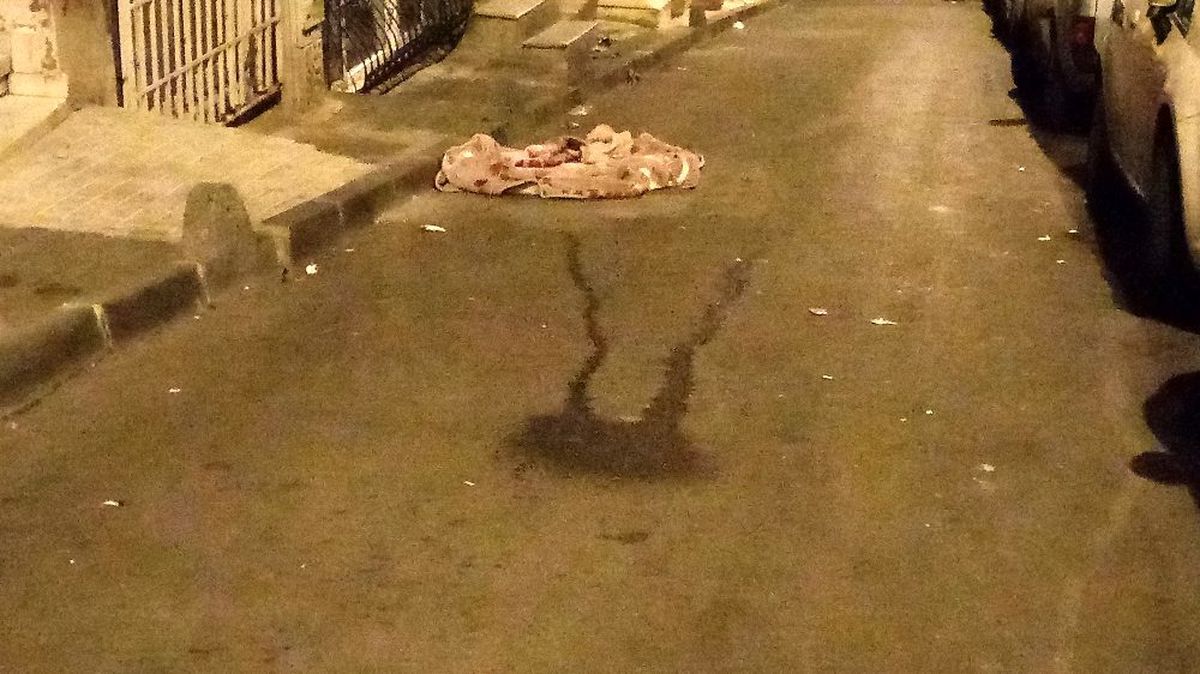 Tahliye olduktan kısa süre sonra hasımları tarafından vuruldu