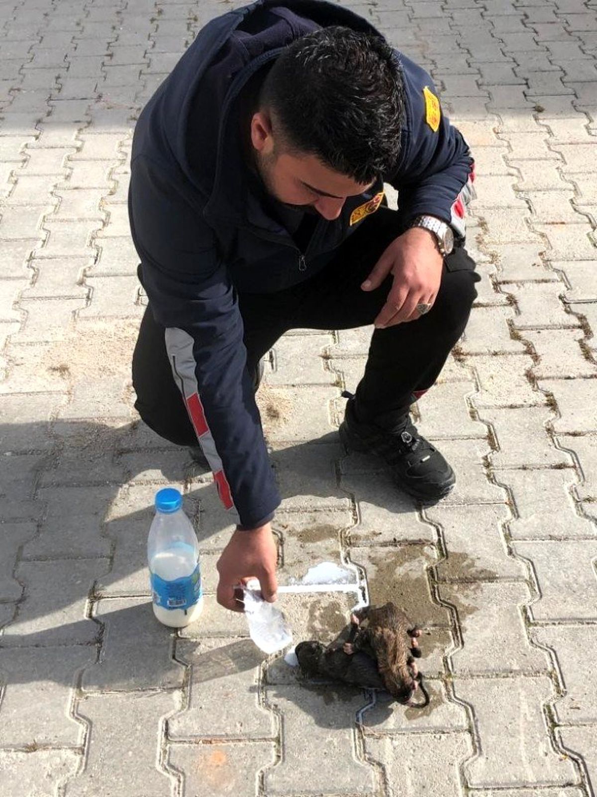 Zorda kalan sokak hayvanlarını itfaiye ekipleri kurtardı