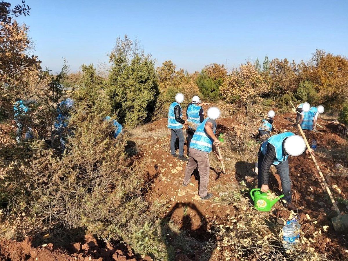 Adalet Ormanı\'na hükümlüler tarafından 300 fidan dikildi