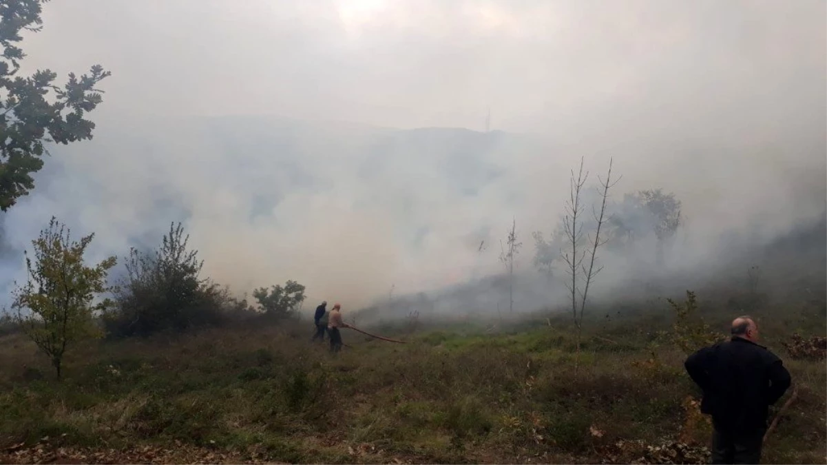 Altınova\'da orman yangını