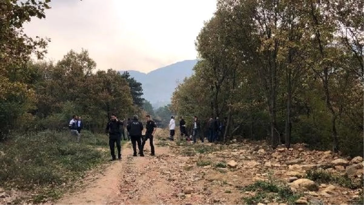 Bursa\'da ağaca asılı erkek cesedi bulundu
