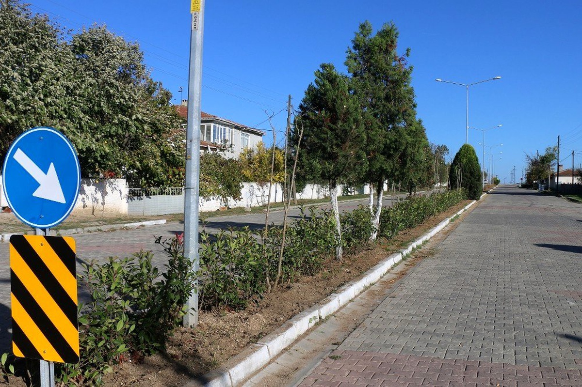 Çorlu\'da ağaçlandırma ve temizlik çalışmaları sürüyor