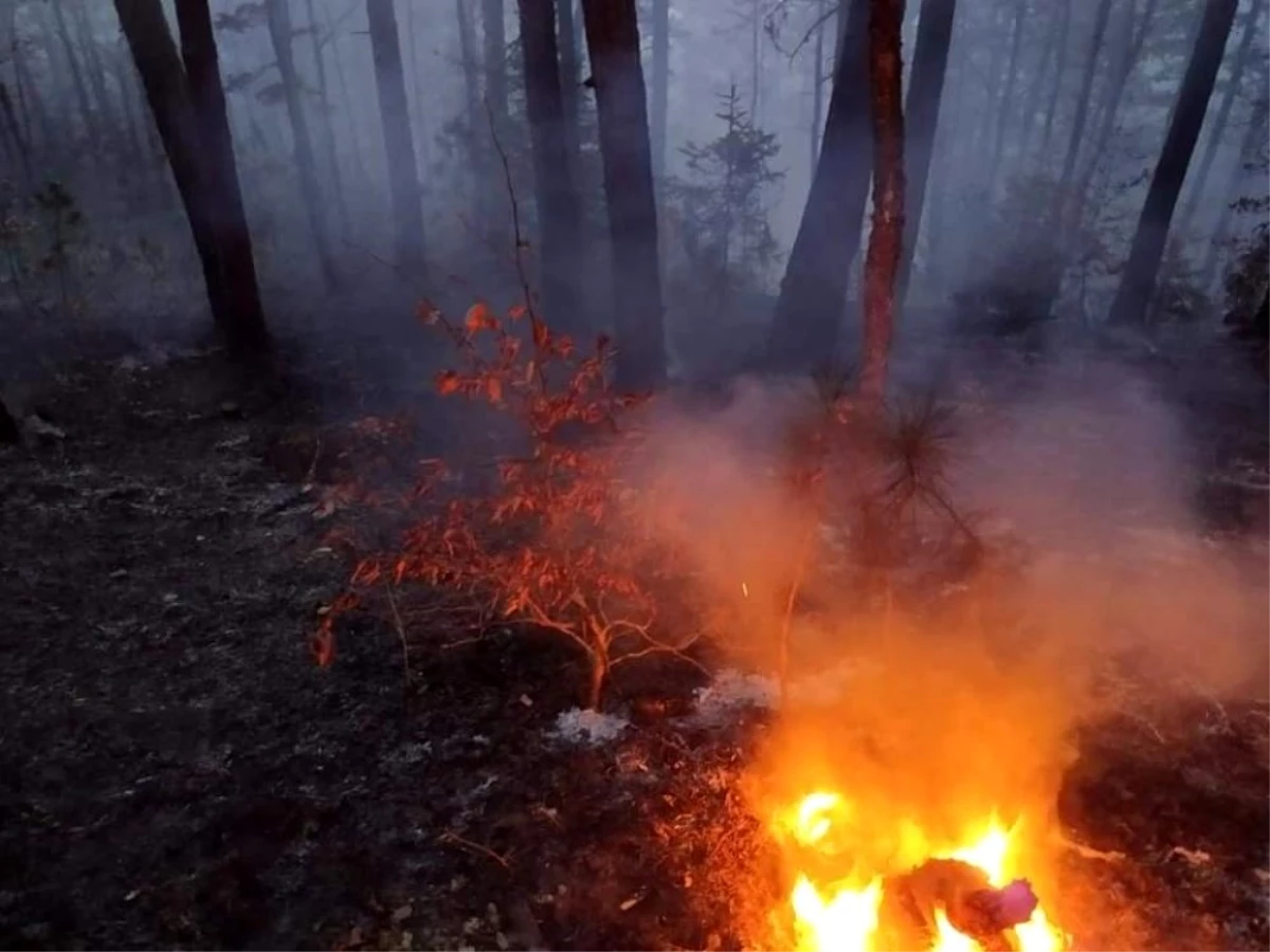 Kastamonu\'da 4 hektarlık ormanlık alan yandı