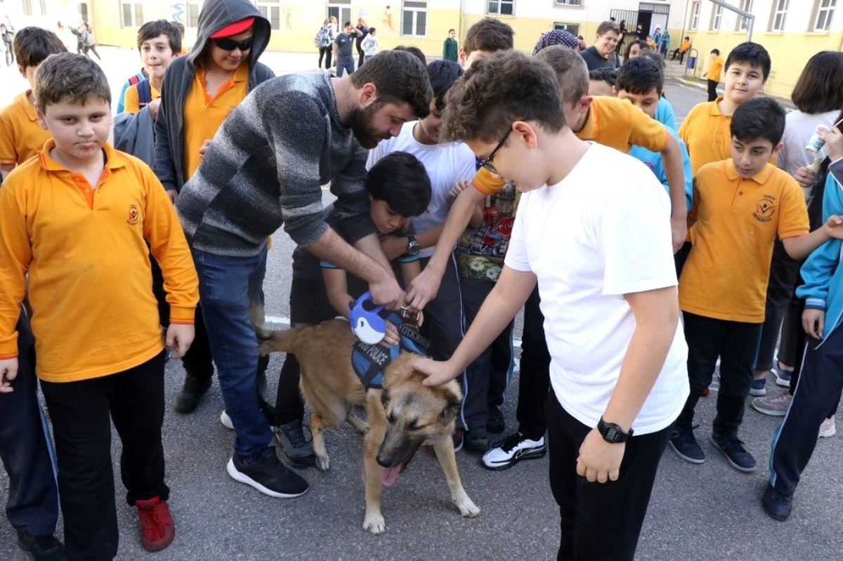Okullara sahiplendirilen sokak hayvanları öğrencilerin ilgi odağı oldu