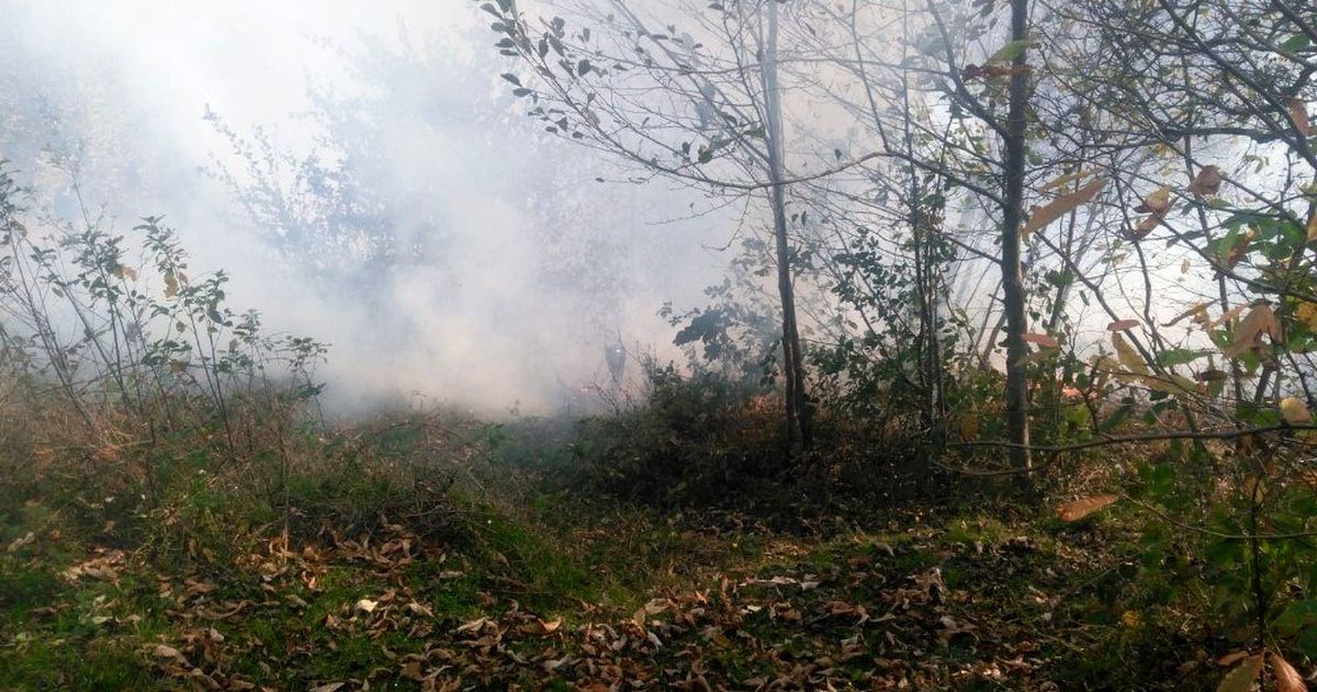 Ordu\'da orman yangını kontrol altına alındı