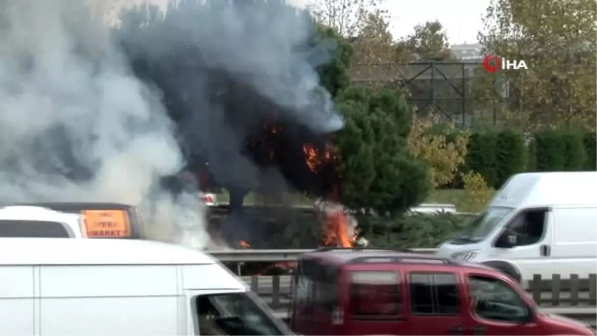 Otoyol kenarında bulunan çam ağaçları alev alev yandı