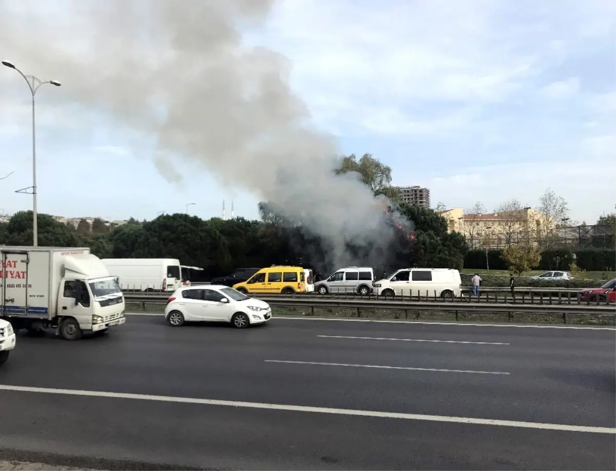 (ÖZEL) Otoyol kenarında bulunan çam ağaçları alev alev yandı