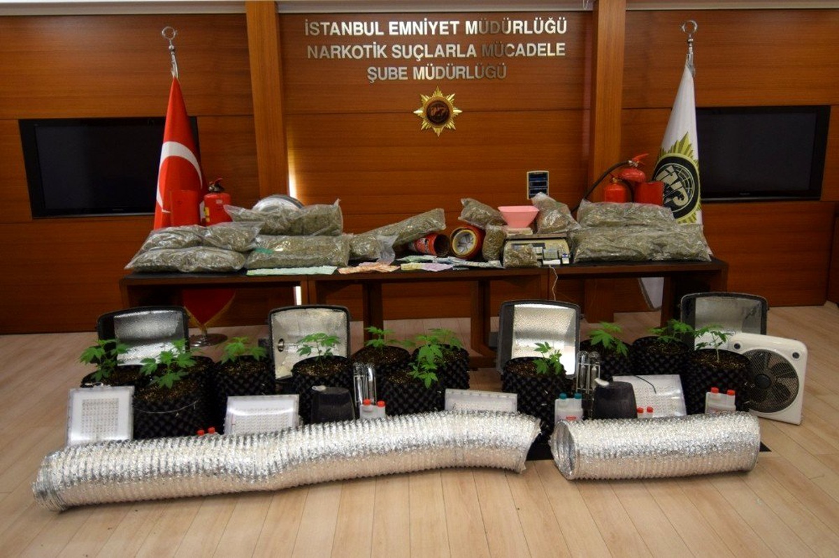 Pendik\'te uyuşturucu tarlasına çevrilen depoya baskın