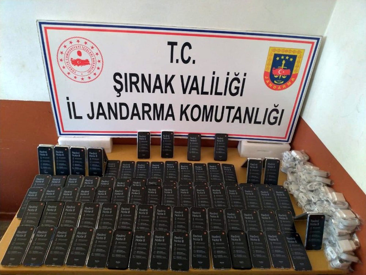 Şırnak\'ta uyuşturucu ve kaçakçılık operasyonu: 46 gözaltı