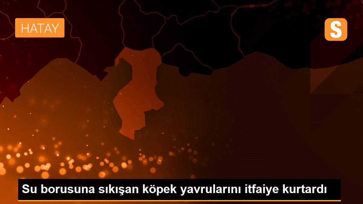 Su borusuna sıkışan köpek yavrularını itfaiye kurtardı