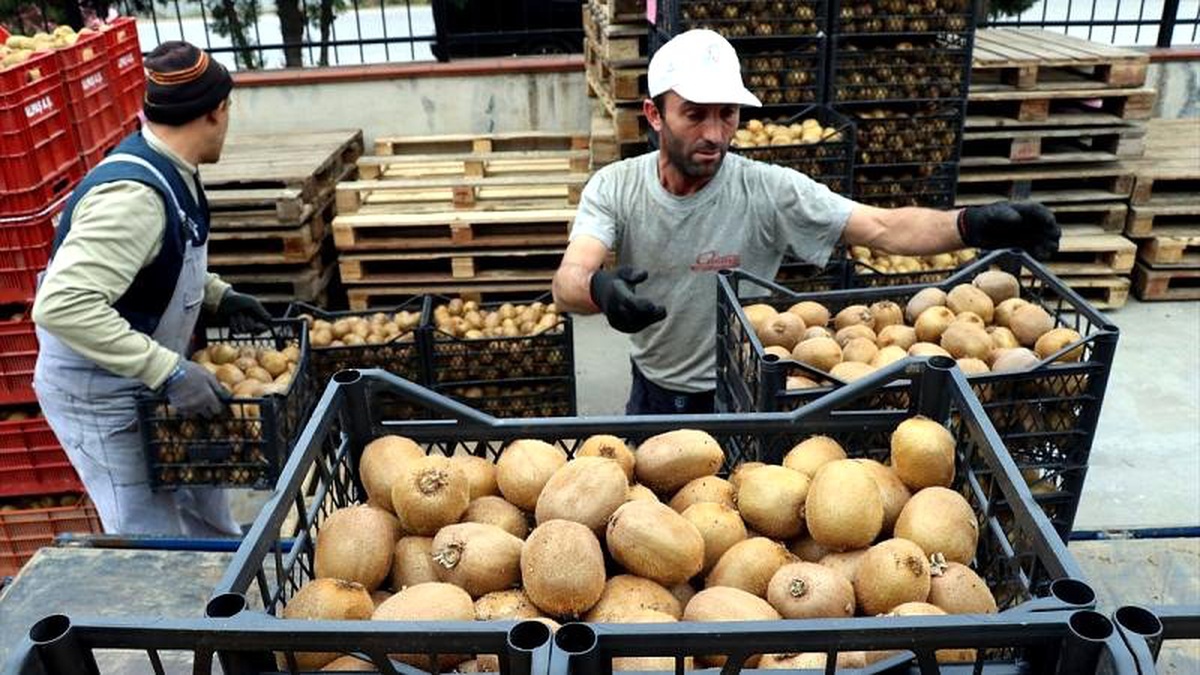 Görüş: Türkiye\'de en çok gençler işsiz, işi olanların da geliri düşük