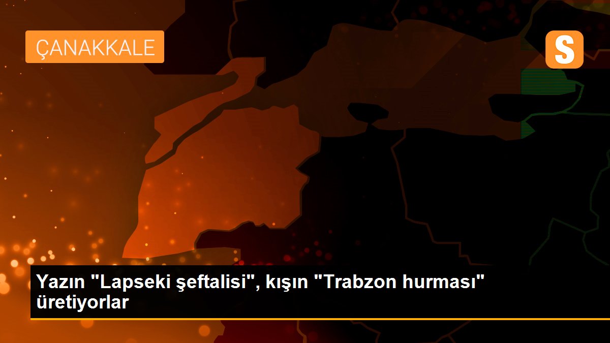 Yazın "Lapseki şeftalisi", kışın "Trabzon hurması" üretiyorlar
