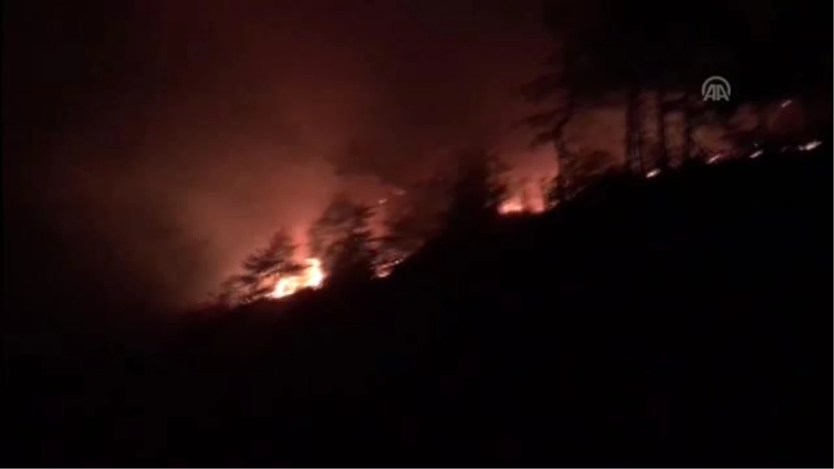 Arsuz\'daki orman yangını kontrol altına alındı