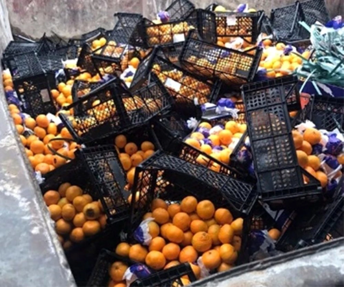 İstanbul\'dan Rusya\'ya gönderilen mandalinalar yanlış etiket kurbanı oldu