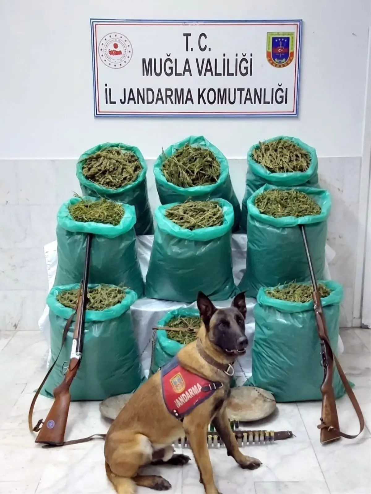 Muğla Jandarması 115 kilo esrar ele geçirdi