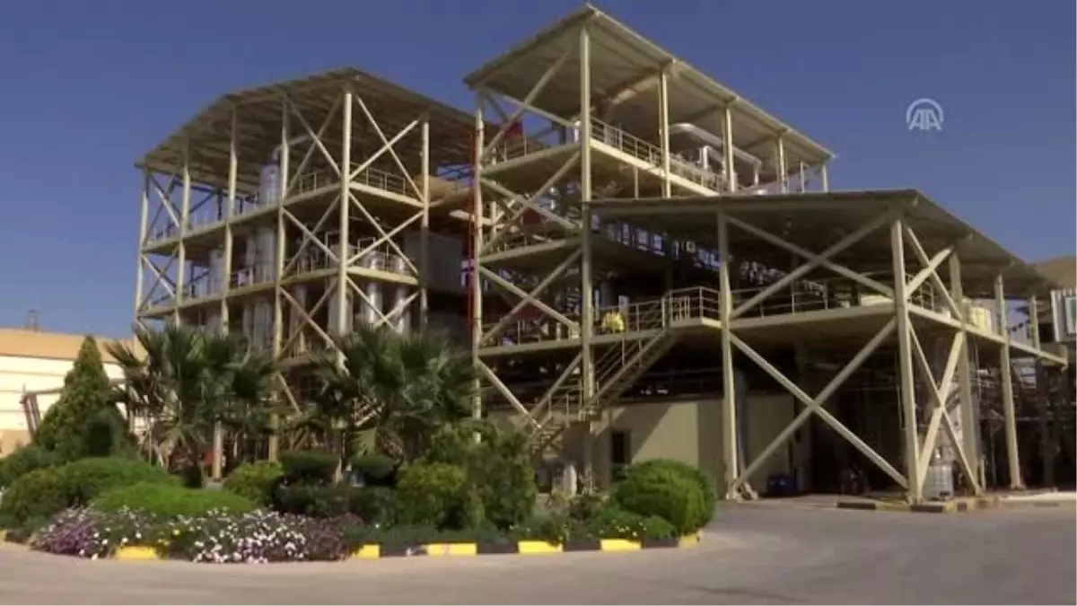 (TEKRAR) Türkiye\'de biyodizel üretimi rekora koşuyor