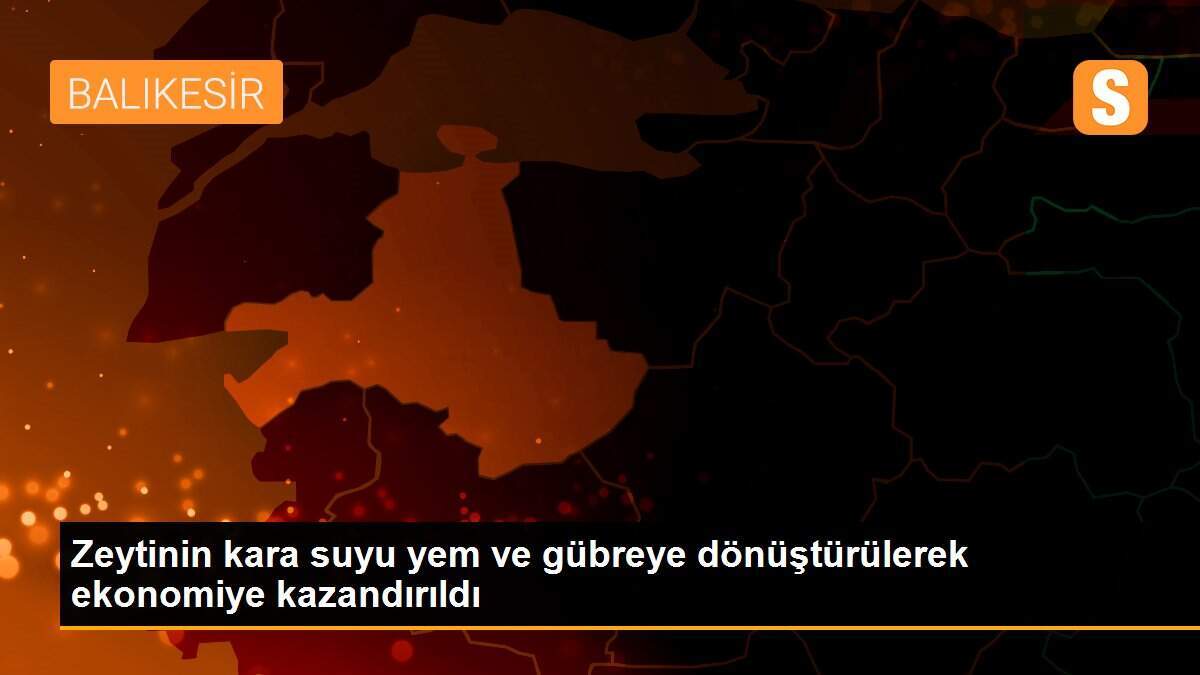 Zeytinin kara suyu yem ve gübreye dönüştürülerek ekonomiye kazandırıldı