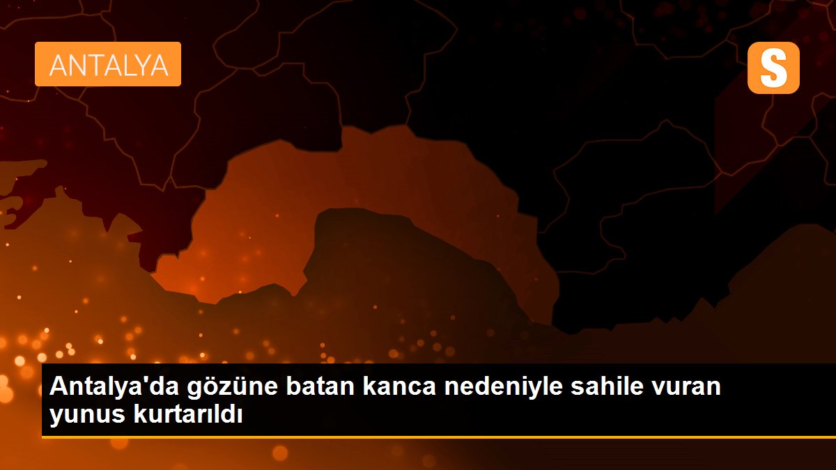 Antalya\'da gözüne batan kanca nedeniyle sahile vuran yunus kurtarıldı