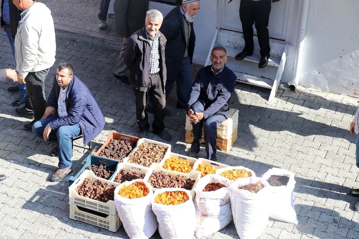 Bakan Pakdemirli\'nin açıklamaları Malatyalı kayısı üreticilerini sevindirdi