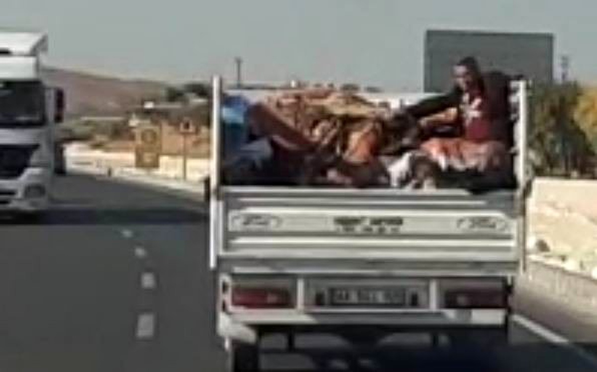 Eşyalarla tehlikeli yolculuk