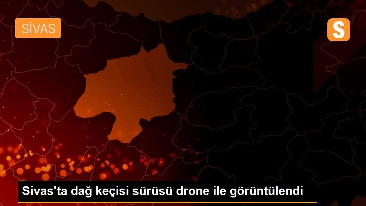 Sivas\'ta dağ keçisi sürüsü drone ile görüntülendi