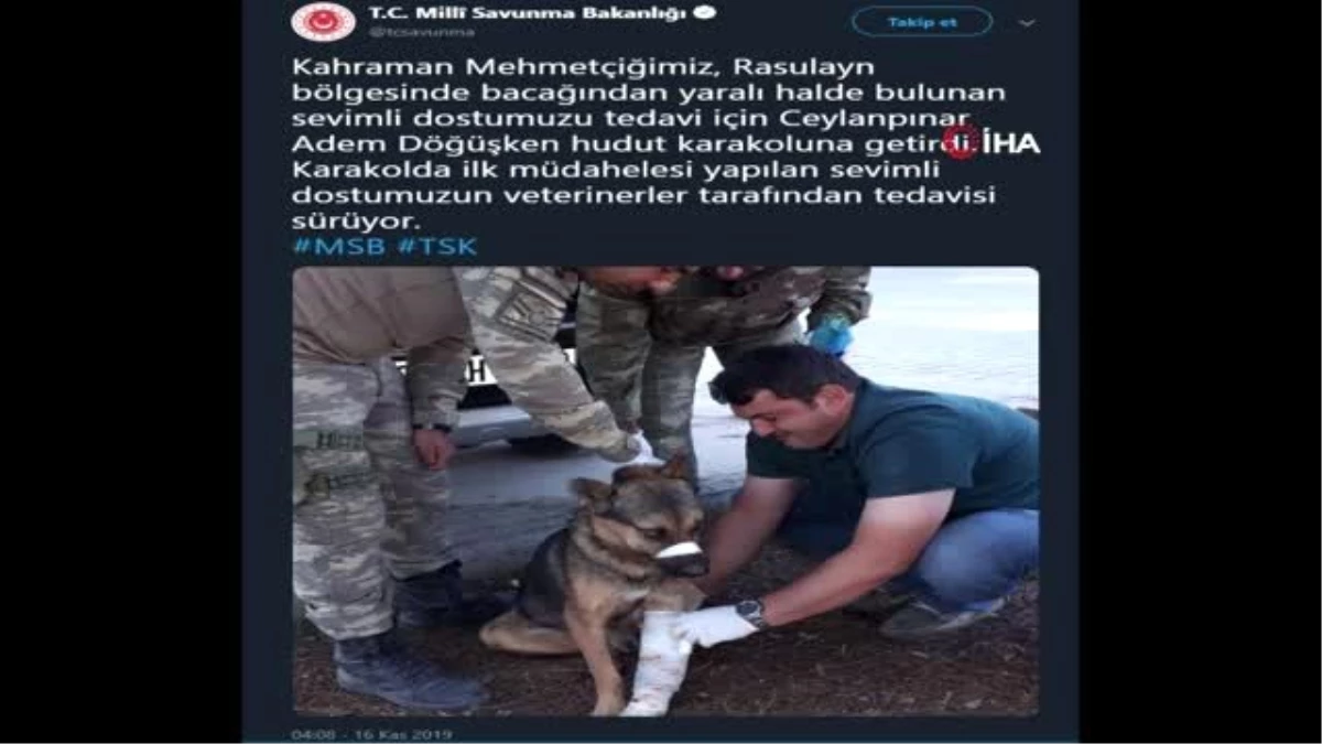 "Türk Ordusu" her canlının yarasını sarıyor