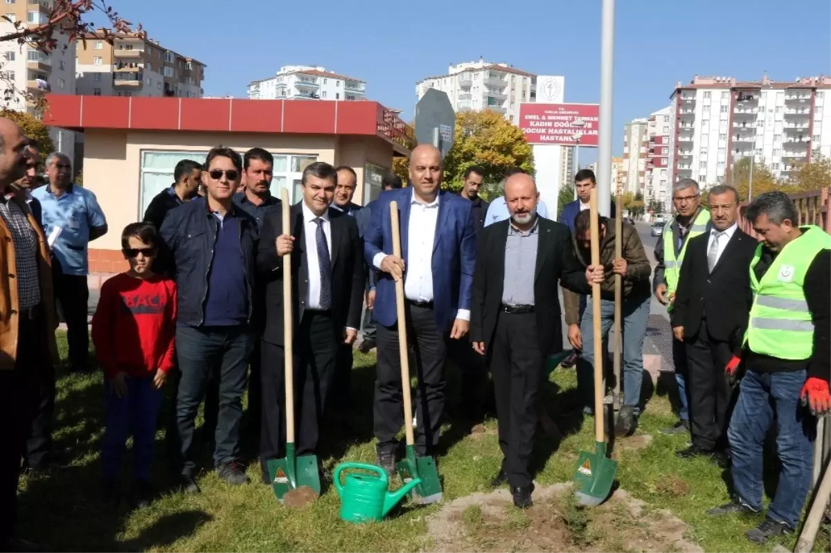 Kayseri Devlet Hastanesi tarafından 620 fidan dikildi