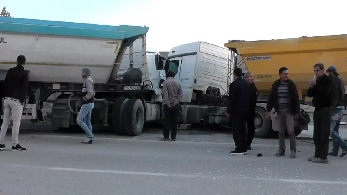 Kediyi ezmek istemeyen tır sürücüsü, tırla çarpıştı: 1 yaralı