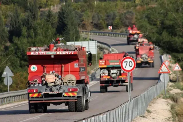 Osmaniye'de orman yangını - Son Dakika