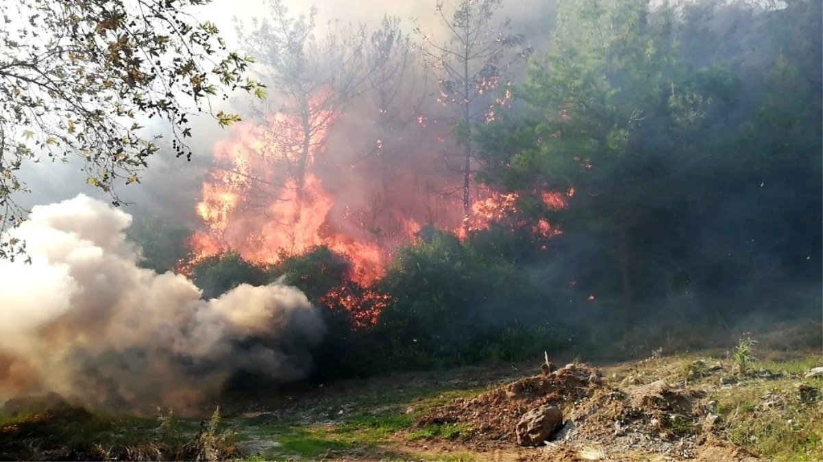 Osmaniye\'deki orman yangınını söndürme çalışmaları sürüyor