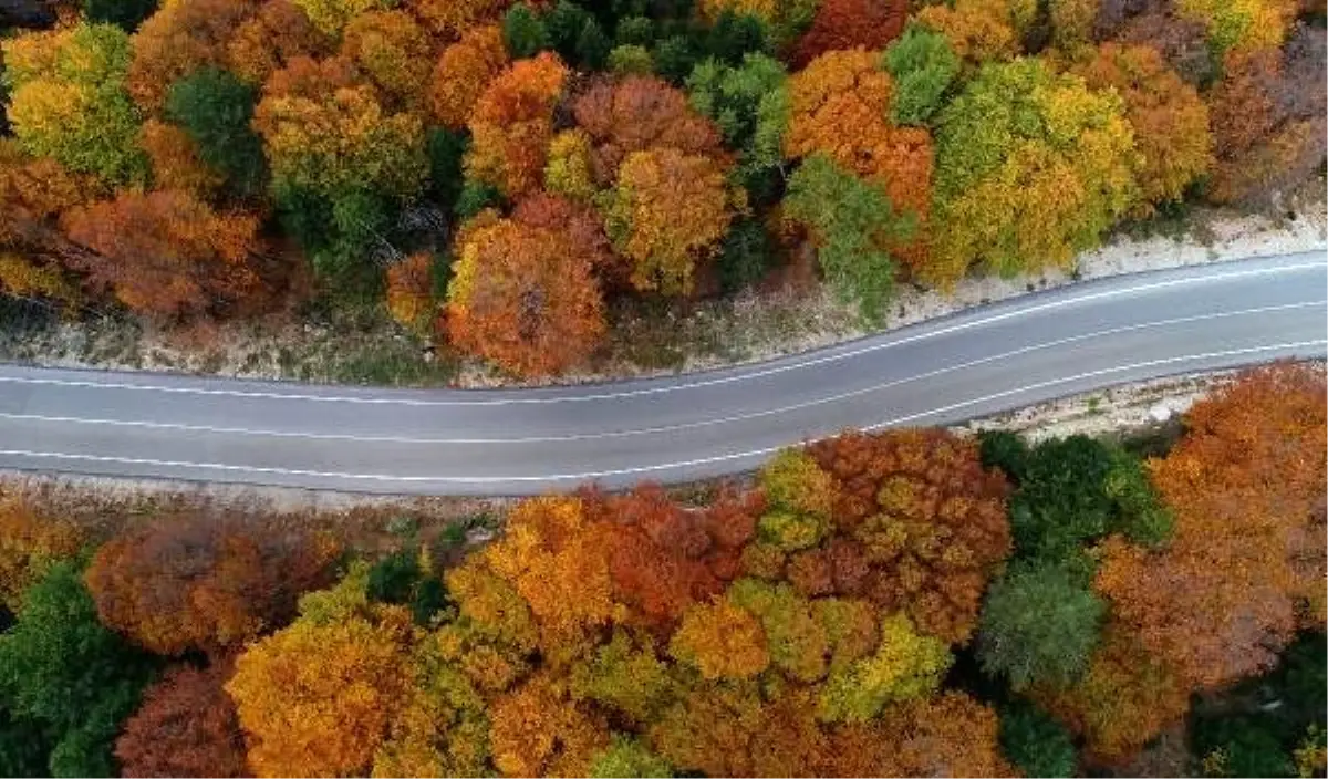 Uludağ\'da sonbaharın son demleri