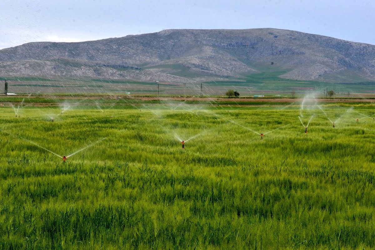 Aksaray\'da 129 bin 500 dekar tarım arazisi sulandı