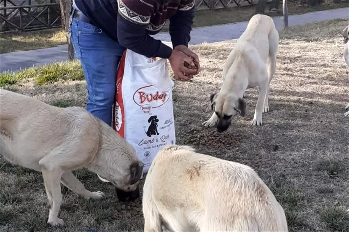 Erzincan\'da belediye görevlileri sokak hayvanları için doğaya yem bıraktı