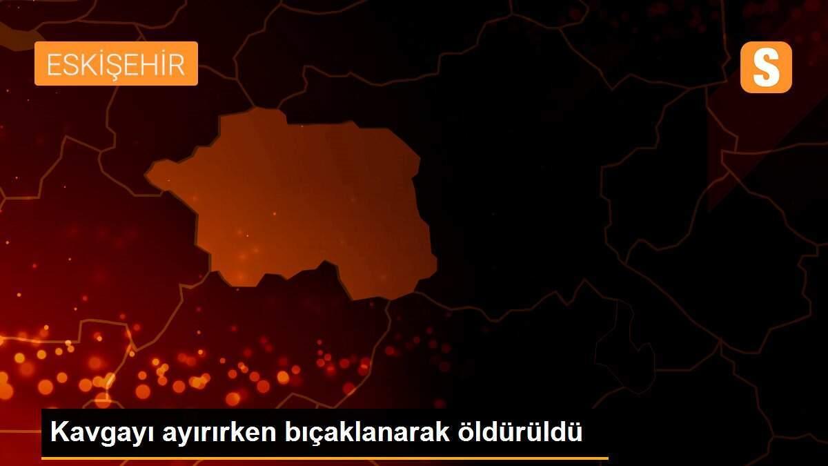 Kavgayı ayırırken bıçaklanarak öldürüldü