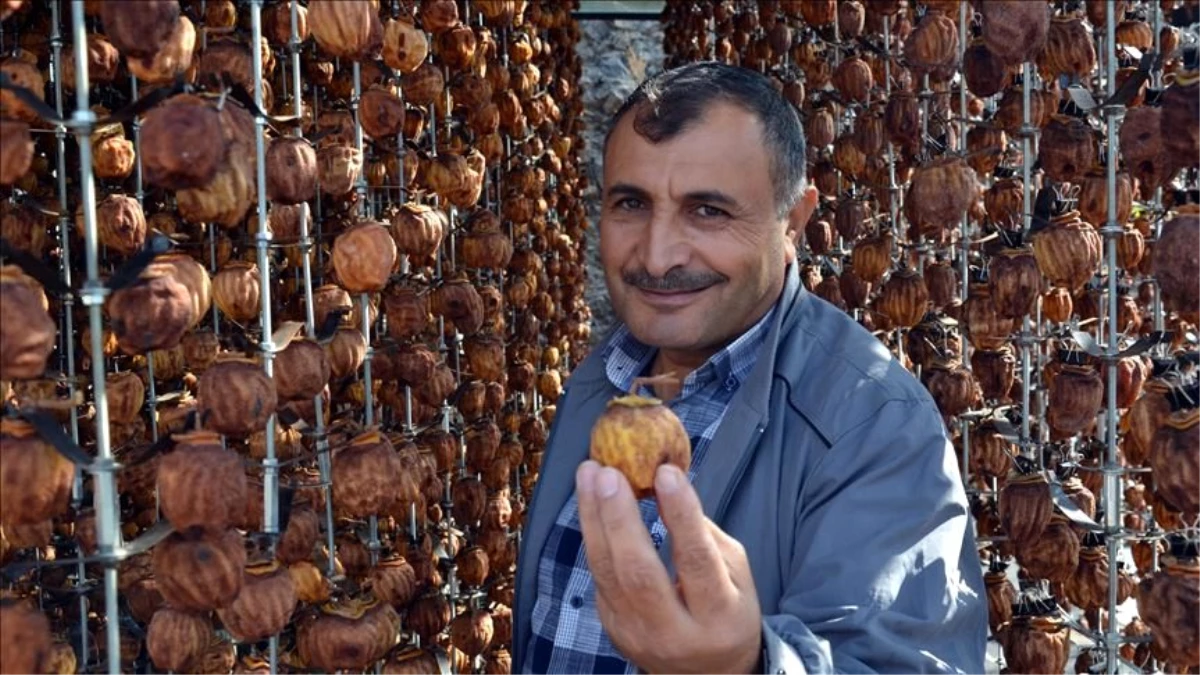 Kilosu 1 liradan satılan meyveyi, kurutarak 23 liradan piyasaya sunuyor