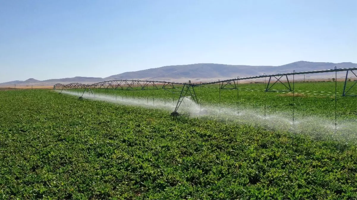 Konya\'da 1 milyon 224 bin dekar tarım arazisi sulandı