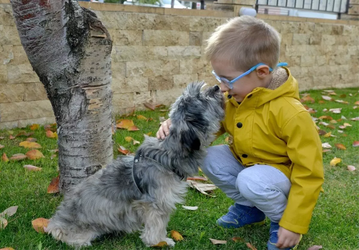 Miniklere hayvan sevgisi aşılandı