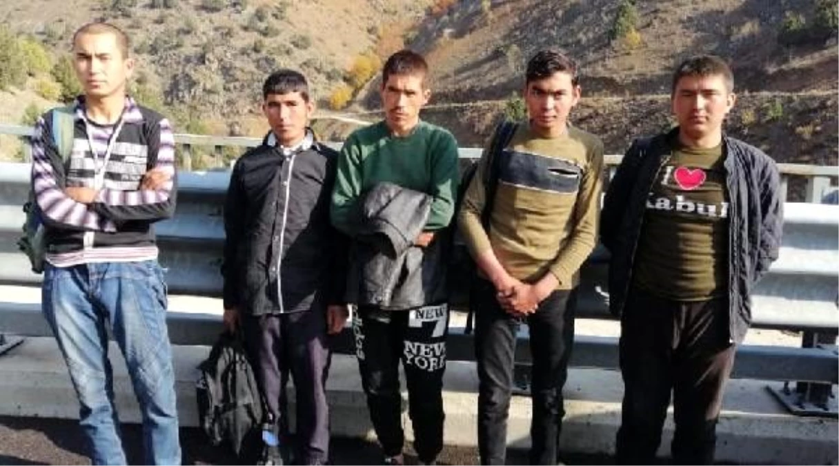 Niğde\'de 5 kaçak göçmen yakalandı