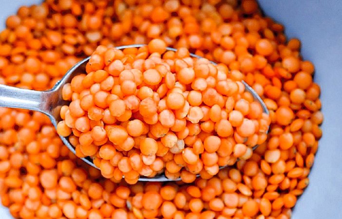 Bakan Pakdemirli: Mercimek fark ödemesi artırılacak