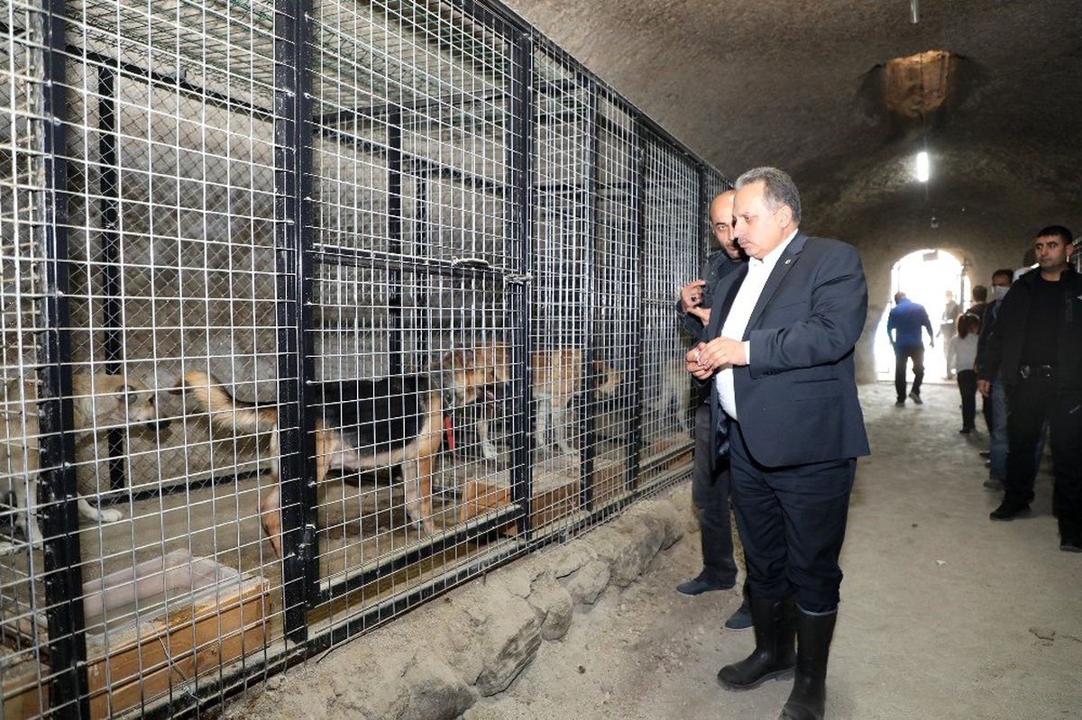 Başkan Yalçın sevimli dostlarla
