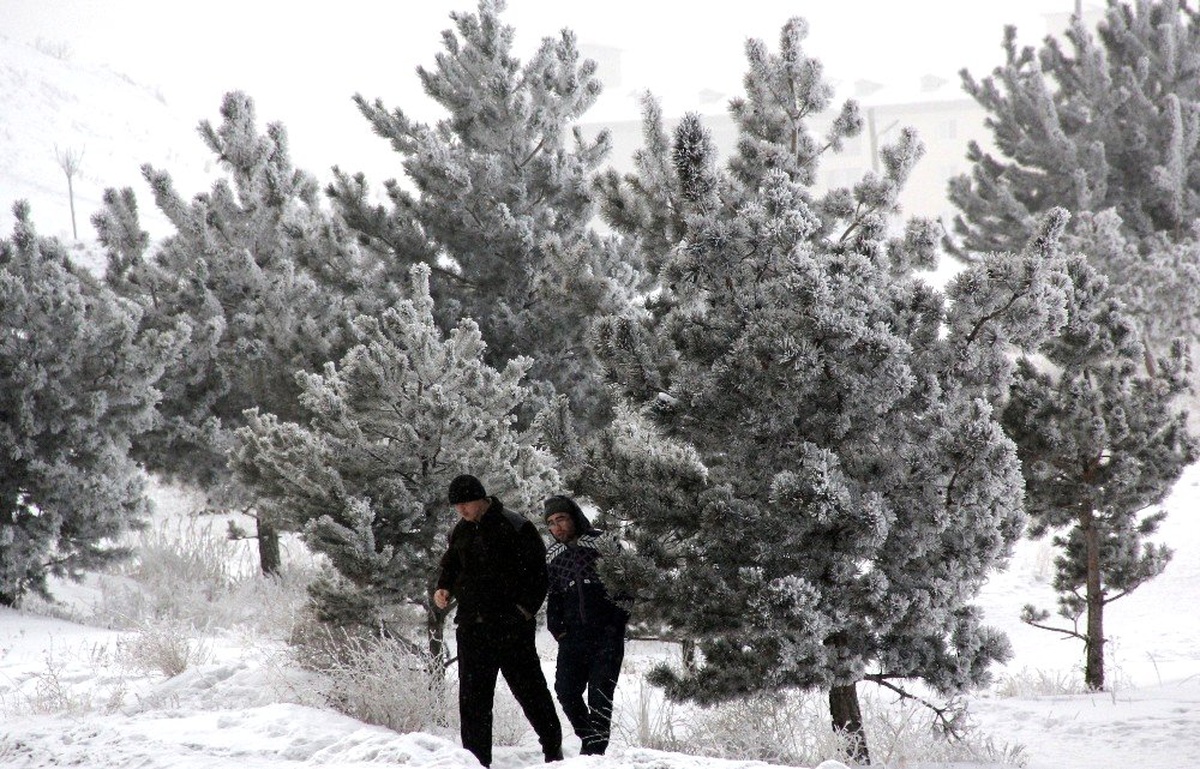 Doğu Anadolu\'da soğuk hava: Göle - 14