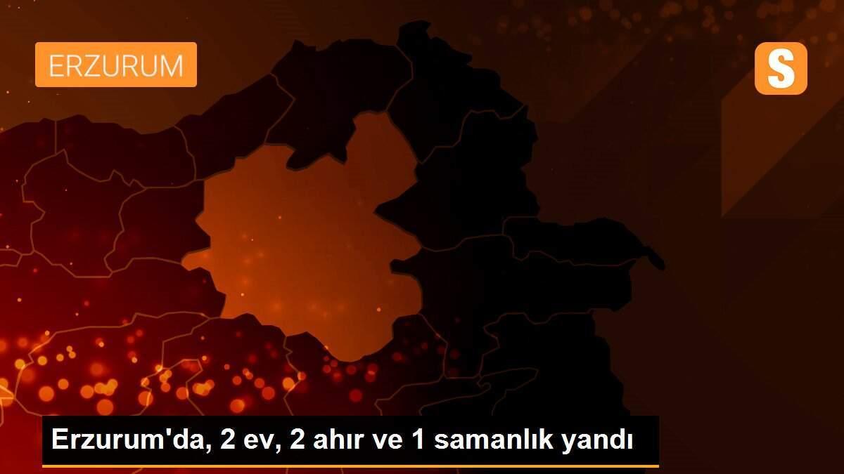 Erzurum\'da, 2 ev, 2 ahır ve 1 samanlık yandı