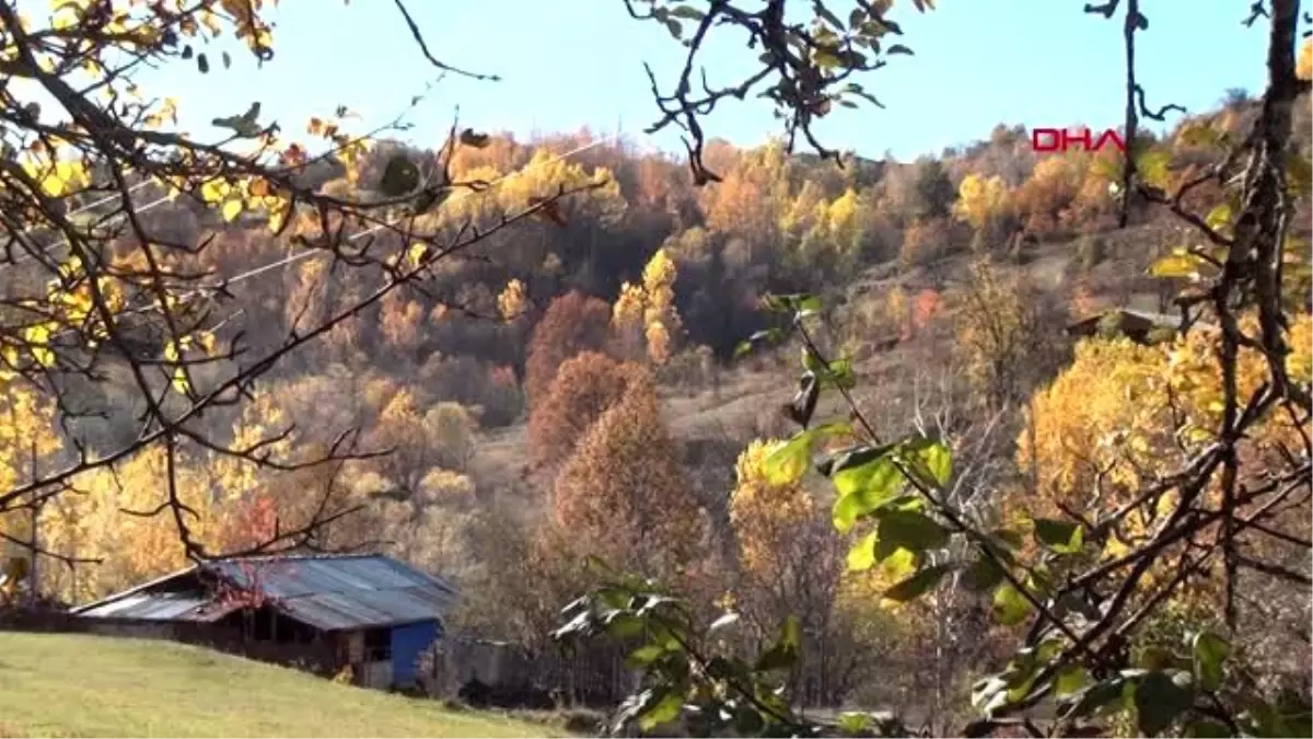 Karadeniz\'de havalar soğudu, köyler sessizliğe büründü