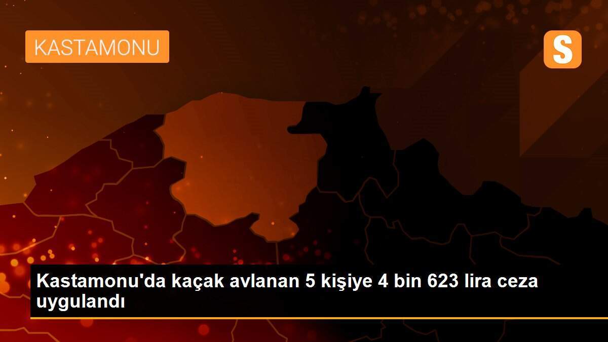 Kastamonu\'da kaçak avlanan 5 kişiye 4 bin 623 lira ceza uygulandı